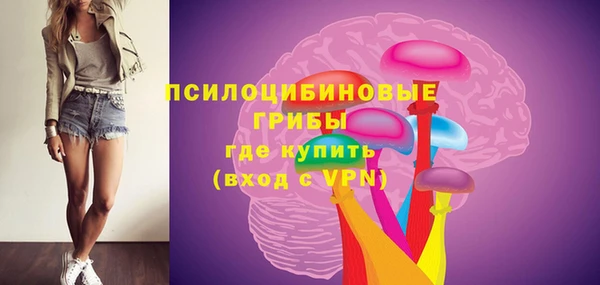 молекула духа Алзамай