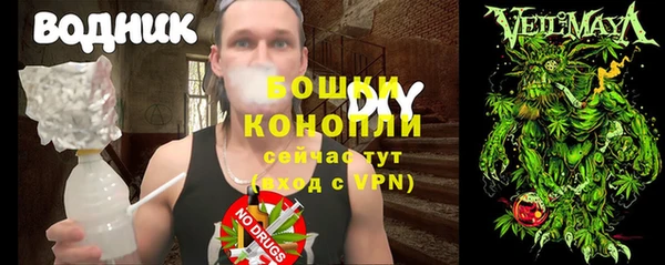 молекула духа Алзамай