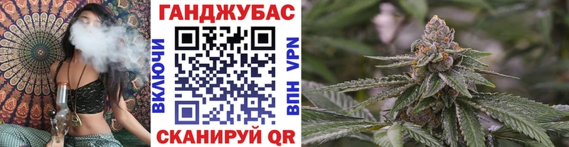Каннабис сатива Ейск